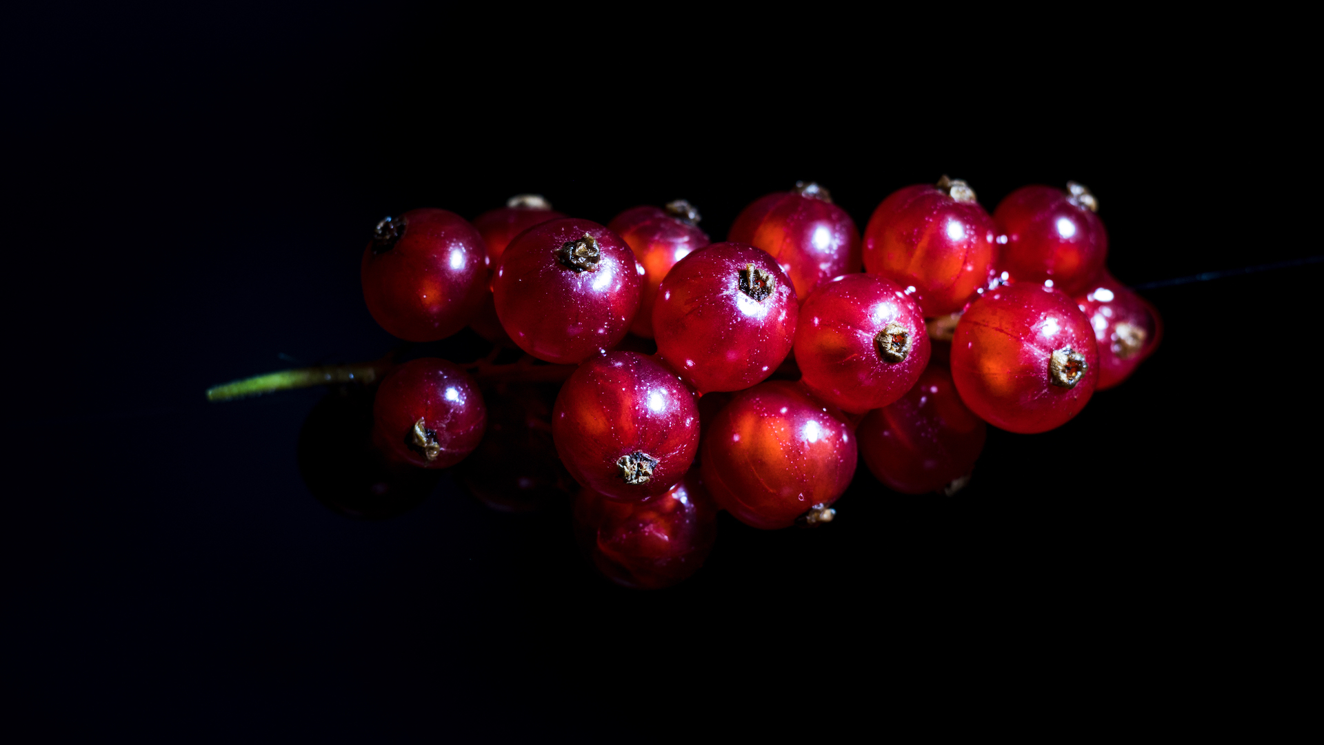  red currant 